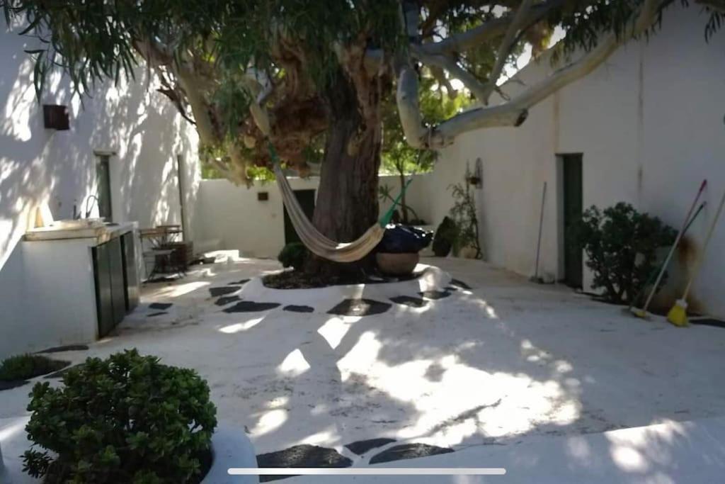 Lovely Studio In Original Finca La Asomada  Exteriér fotografie